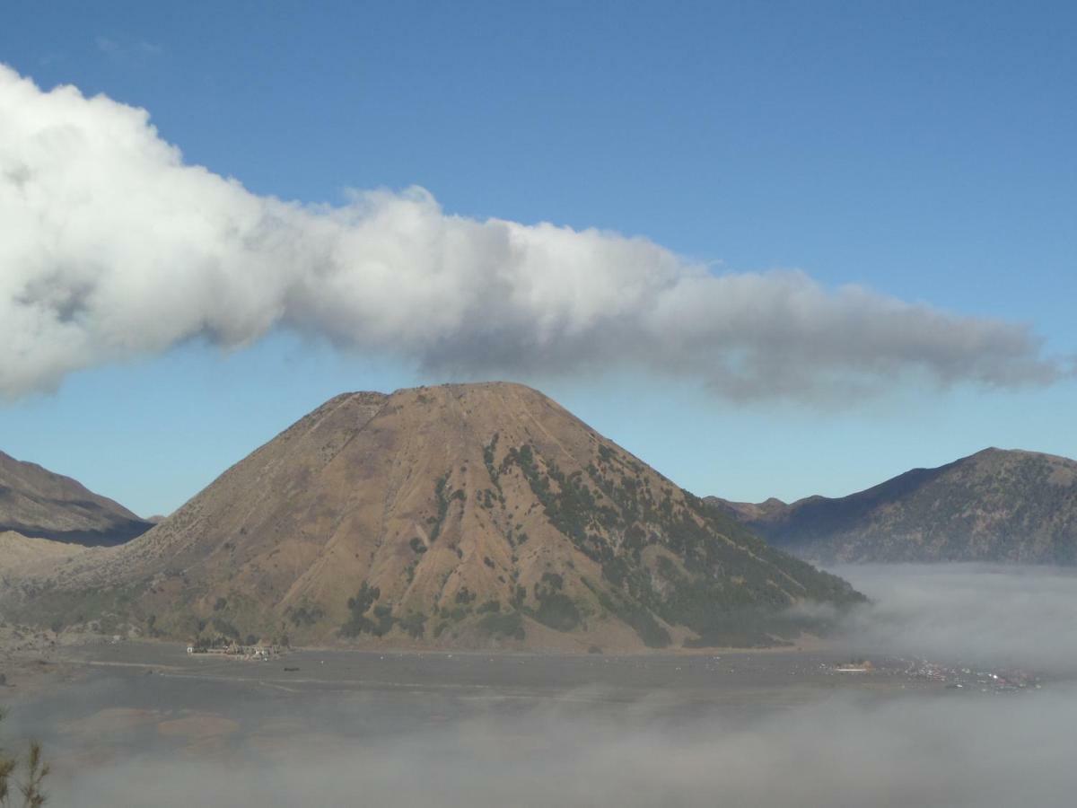 Tengger Indah Homestay Bromo Exterior foto