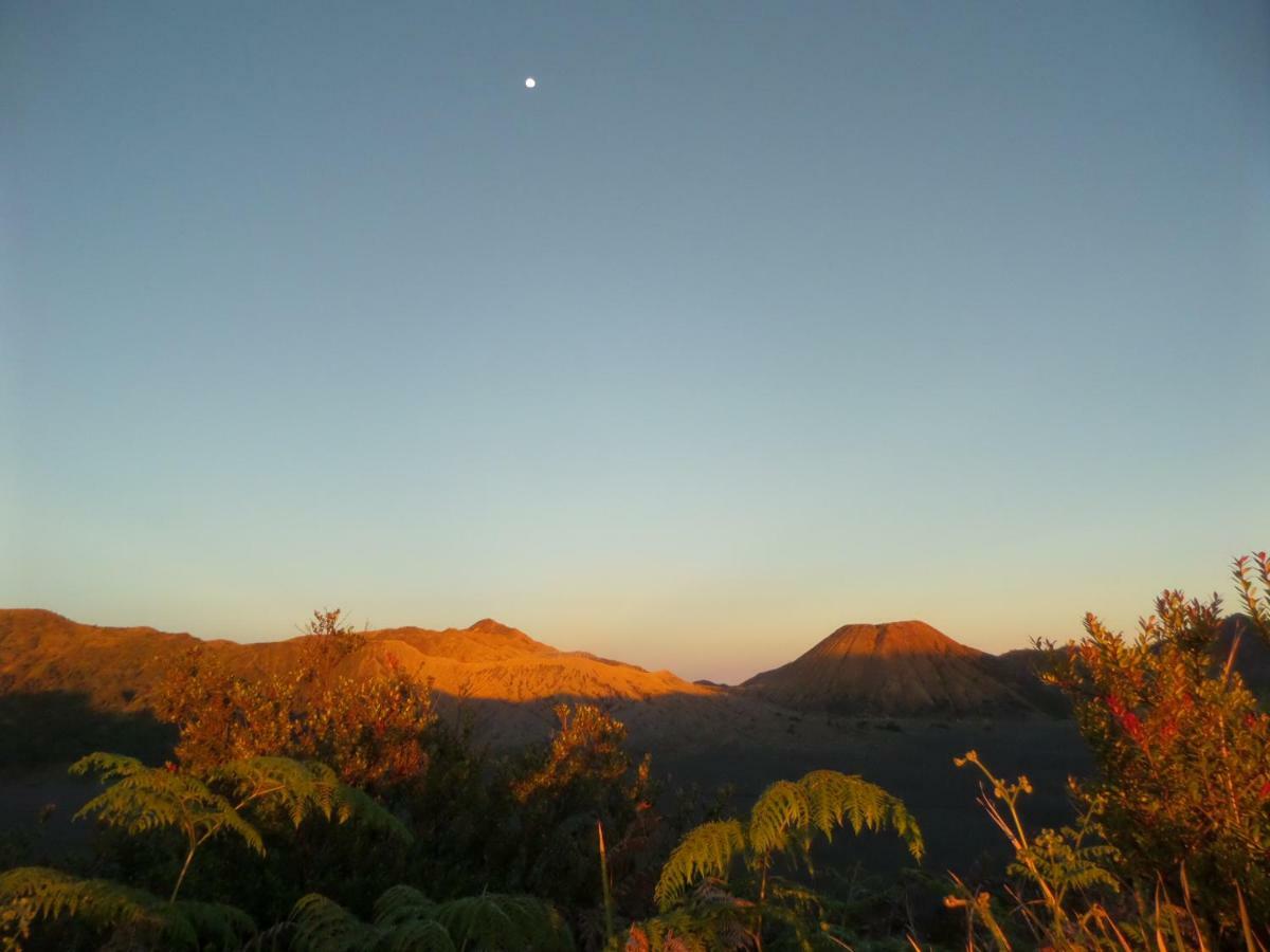 Tengger Indah Homestay Bromo Exterior foto