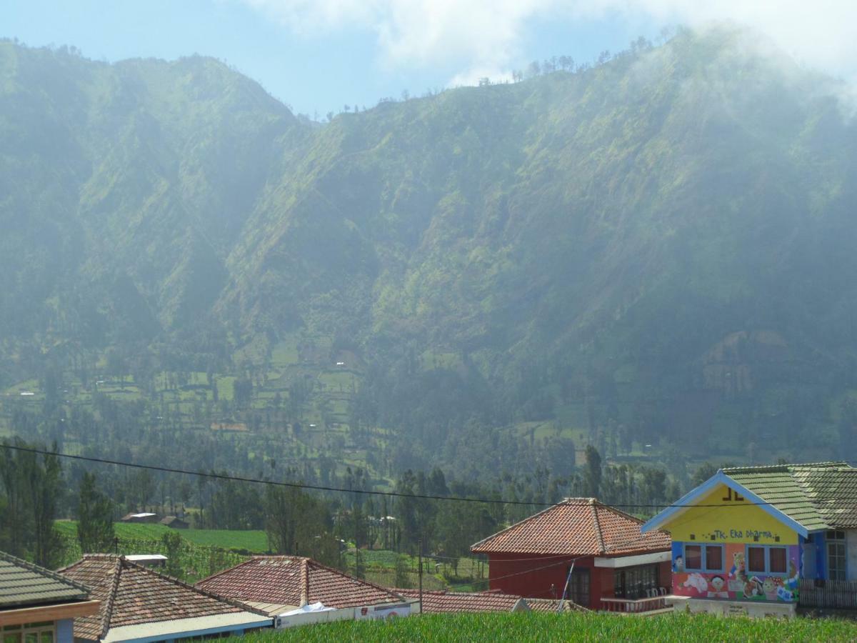 Tengger Indah Homestay Bromo Exterior foto